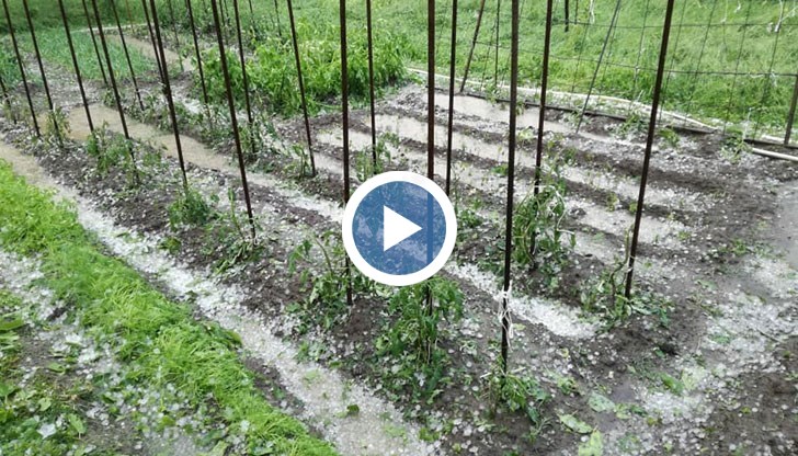 И през следващите дни ще има условия за градушки