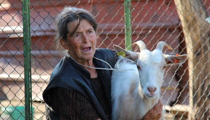 Баба Дора посрещна празника сама с двете си яренца