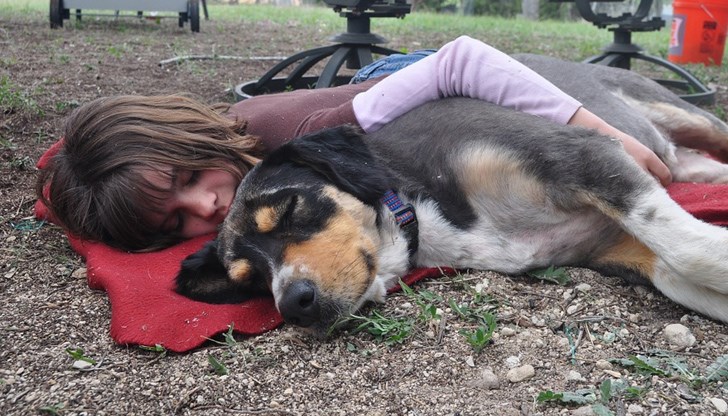 Опитният стопанин на куче знае, че най-важното нещо в живота са обувките. Опитният стопанин на куче знае, че най-важното нещо в живота са обувките.