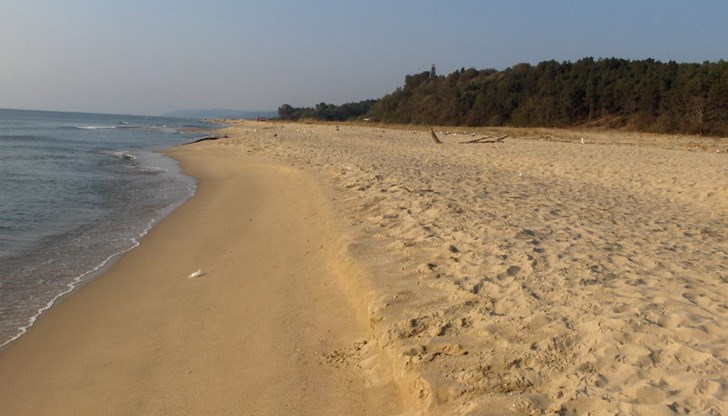 Фирмата е била единствен участник в търга Фирмата е била единствен участник в търга