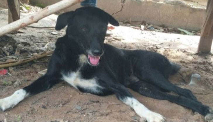 Новороденото момченце е било изоставено от 15-годишната си майка Новороденото момченце е било изоставено от 15-годишната си майка