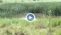 Повече от 5000 декара земи в Русенско са под вода!