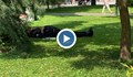 Мъж с разкопчан дюкян лежи в пловдивски парк навръх 1 юни