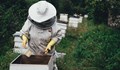 Заседание за проблемите на пчеларите в Две могили