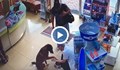 Ранено куче потърси помощ в аптека