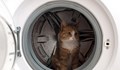Котка прекара 35 минути във включена пералня