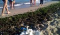 Водата на българските плажове става все по-мръсна