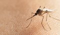 Силистра излиза на протест заради комарите