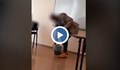 Учителката удря ученик с кошче за боклук по време на час