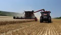 Жътвата на пшеница в Русенско започна със среден добив от 535 кг/дка