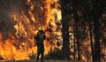 Голям горски пожар бушува в Гърция