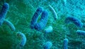 Учени откриха микроби, живеещи при 89 градуса по Целзий