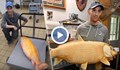 Рибар улови 100-годишна златна рибка