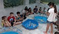 Деца "ловиха" риба в Екомузея