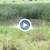 Повече от 5000 декара земи в Русенско са под вода! Повече от 5000 декара земи в Русенско са под вода!