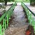 Реката в село Средногорово излезе от коритото си