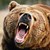 Руснак отхапа езика на мечка Руснак отхапа езика на мечка