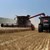 Жътвата на пшеница в Русенско започна със среден добив от 535 кг/дка