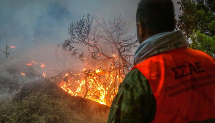24 огнеборци се борят с огнената стихия