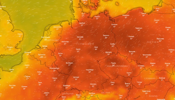 Папата се моли за страдащите от горещините