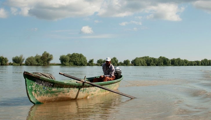 Пазарът на европейската змиорка има огромен потенциал, твърди д-р Георги Атанасов