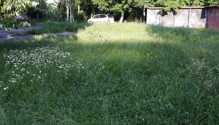 Още няколко седмици и детето ще си загубя