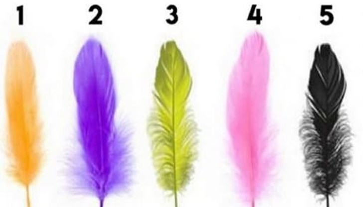 Цветовете и формите разкриват много за индивидуалността на човек