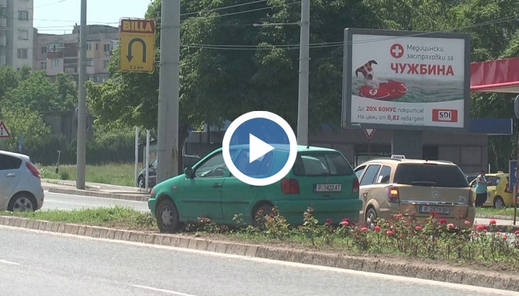 "Фолксваген" заора в розовите насаждения в разделителната ивица