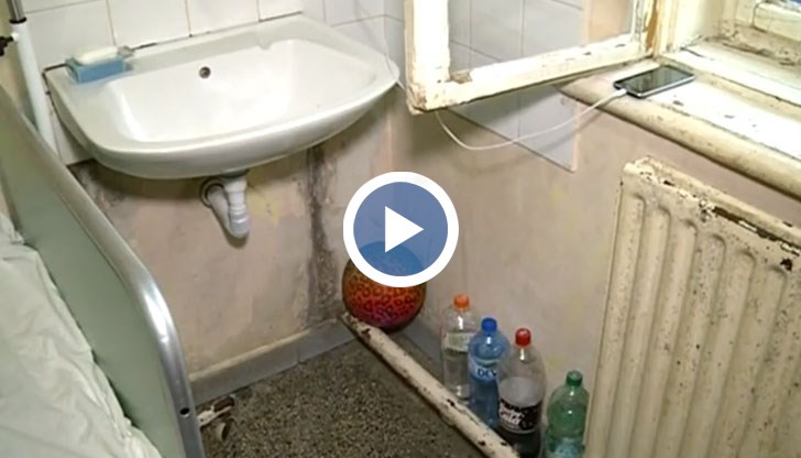 Мухъл, излющени стени, течове и изгнила дограма