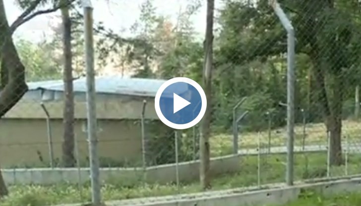 Откраднати са чували с фураж