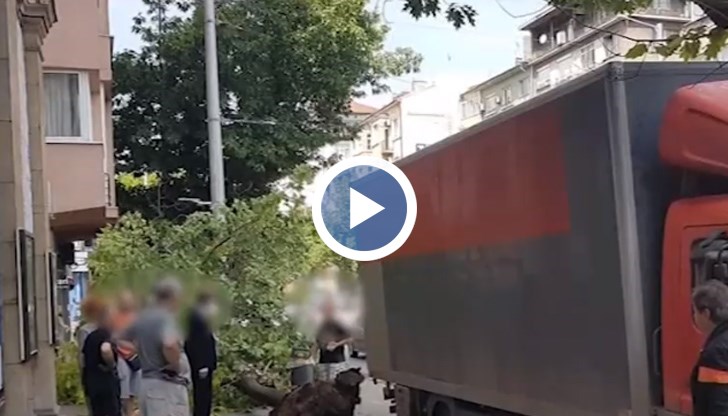 Ще бъде ли наказан шофьорът?