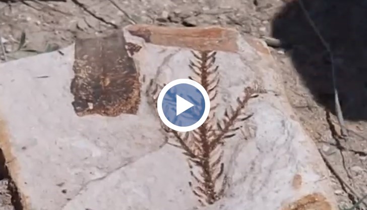 Езерото е било доста голямо - около 10 квадратни километра