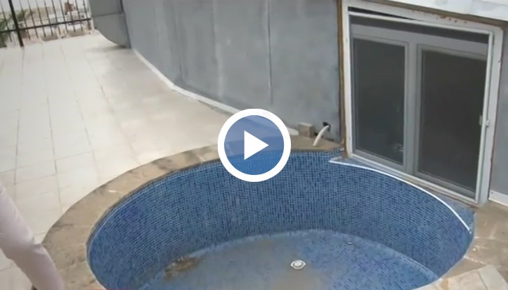 Абсурдите по родното Черноморие нямат край