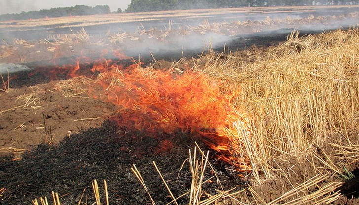 В Русенска област този сезон засетите площи са над 647 000 декара В Русенска област този сезон засетите площи са над 647 000 декара