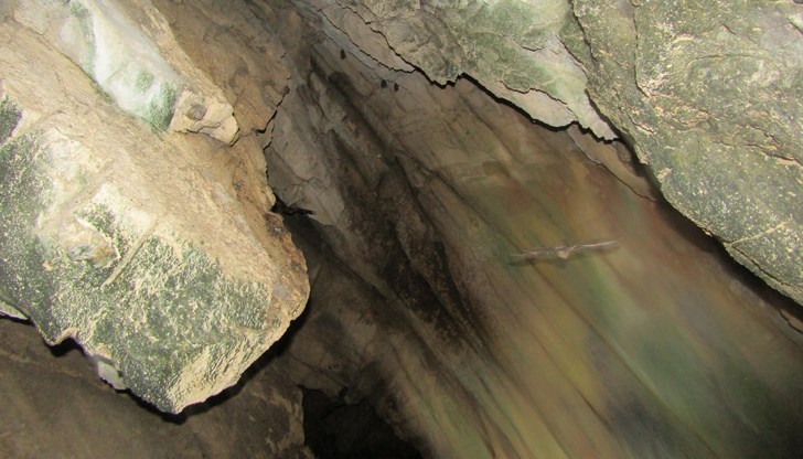 Причините за смъртта са в процес на изясняване Причините за смъртта са в процес на изясняване