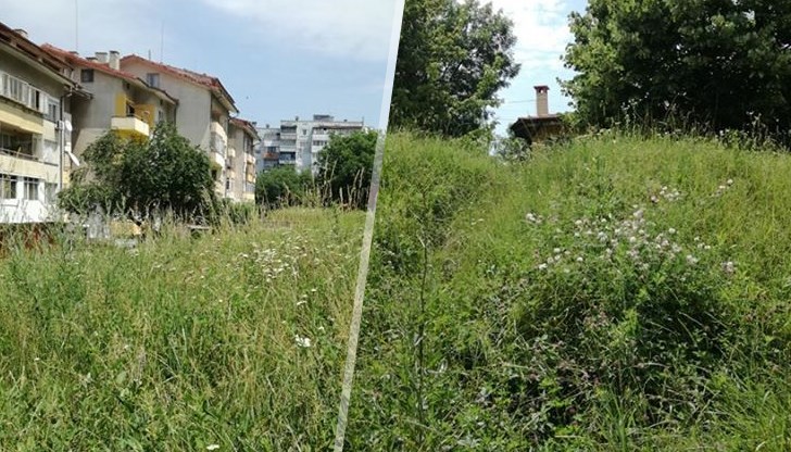 Или като ще косите, поне косете един квартал целия, не отчасти