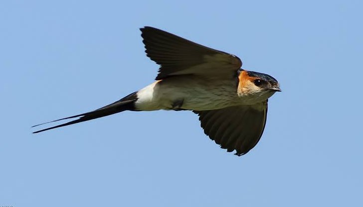 Когато се много сме силни