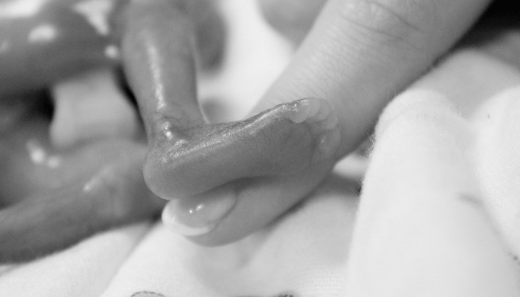 София и Пловдив са водещите градове, в които се извършват най-много премахвания на плода София и Пловдив са водещите градове, в които се извършват най-много премахвания на плода