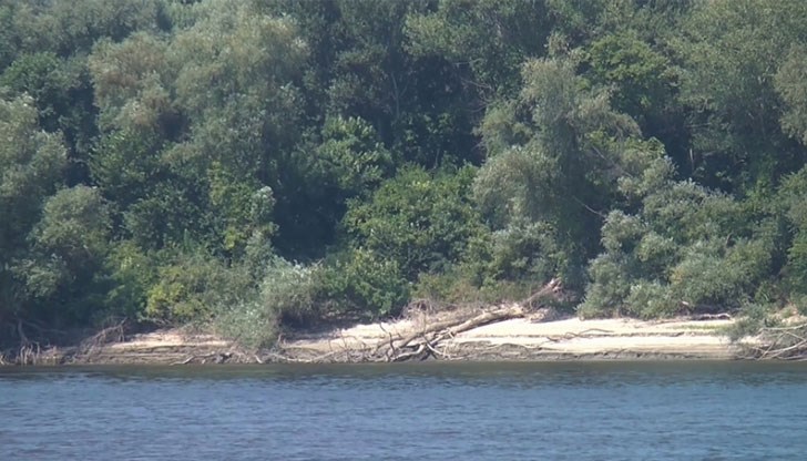 Обилните дъждове, последвани от високи температури, създадоха метеорологичен рай за насекомите, които тормозят местното население