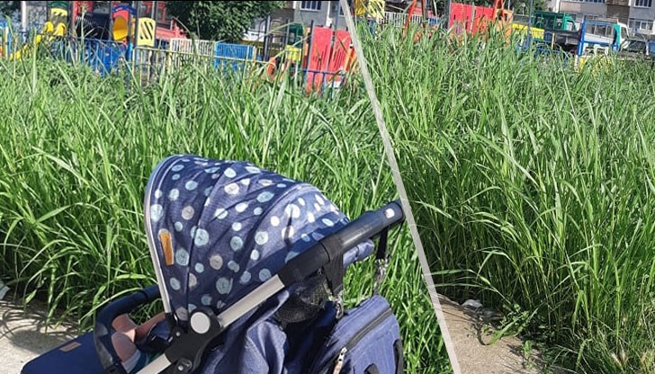 Мъжът ми изкоси донякъде, но все пак не сме длъжни....