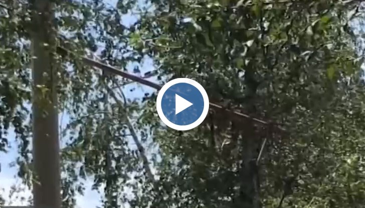 За зла ирония опасната конзола виси от стълб, на който има табела с надпис „ПАЗИ ДЕТЕТО”