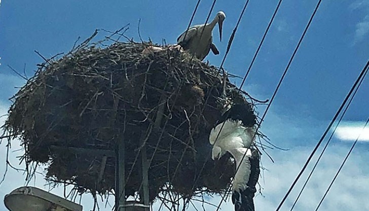 Висулко е извадил късмет, споделят неговите спасители