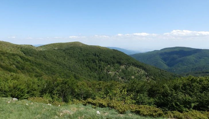 77-годишният мъж, обявен за издирване, е живял без храна и сред горски хищници 77-годишният мъж, обявен за издирване, е живял без храна и сред горски хищници