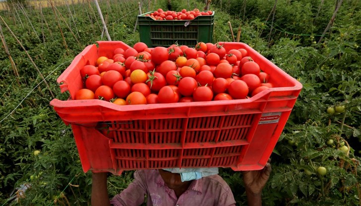 Съществуват няколко фактора, на които се уповава процъфтяването на съвременното робство