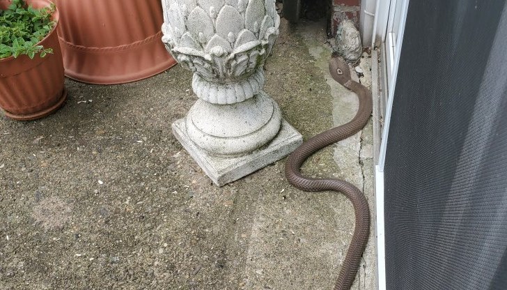 Знаех, че е опасно. Не съм глупачка, но въпреки това действах