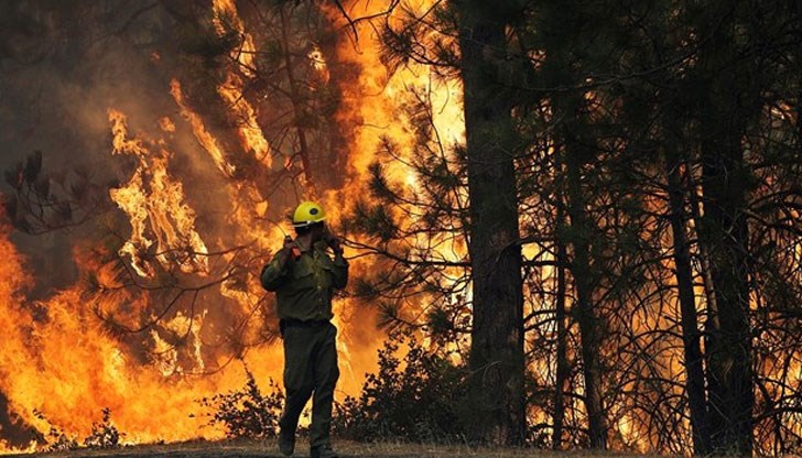 В борбата с пламъците участват 40 пожарникари, 15 пожарни коли и два самолета