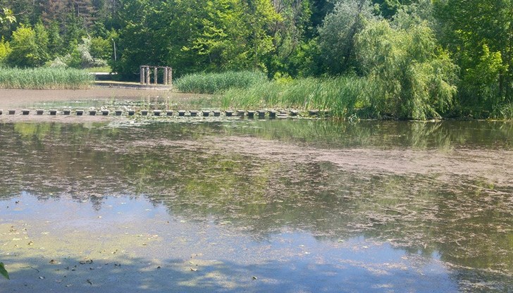 Вижте къде още ще се проведе дезинсекция Вижте къде още ще се проведе дезинсекция