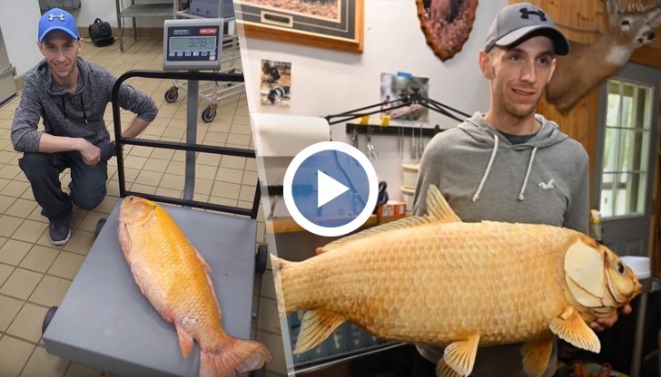 Според специалисти ставало въпрос за рядък мутант в езеро близо до Брейндер в Минесота