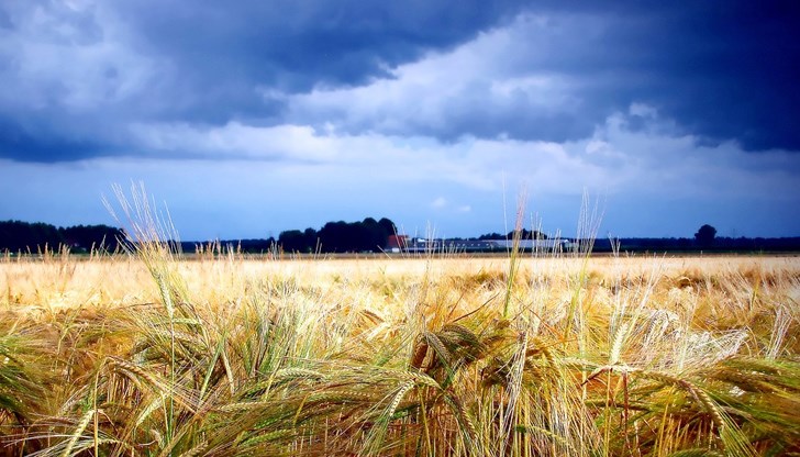Днес от север на юг през страната ще премине студен атмосферен фронт Днес от север на юг през страната ще премине студен атмосферен фронт
