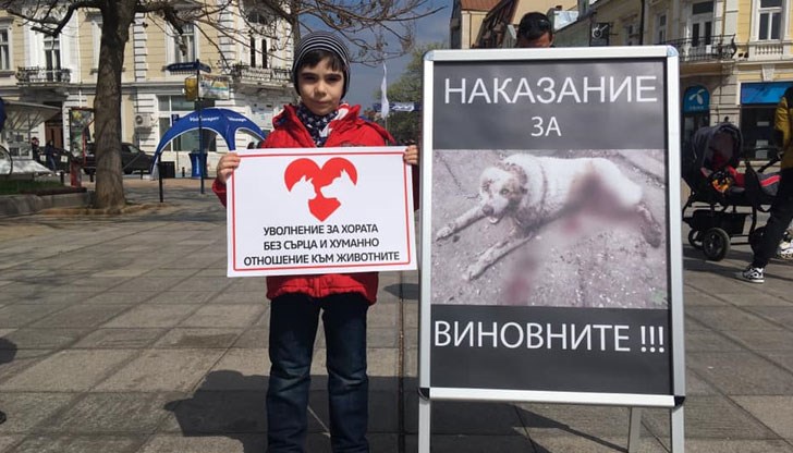 Русенци доказаха, че са сърцати и загрижени